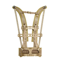 Frame and Straps